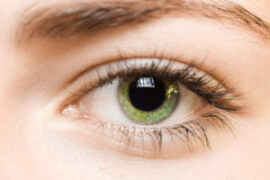 Close up woman's green eye